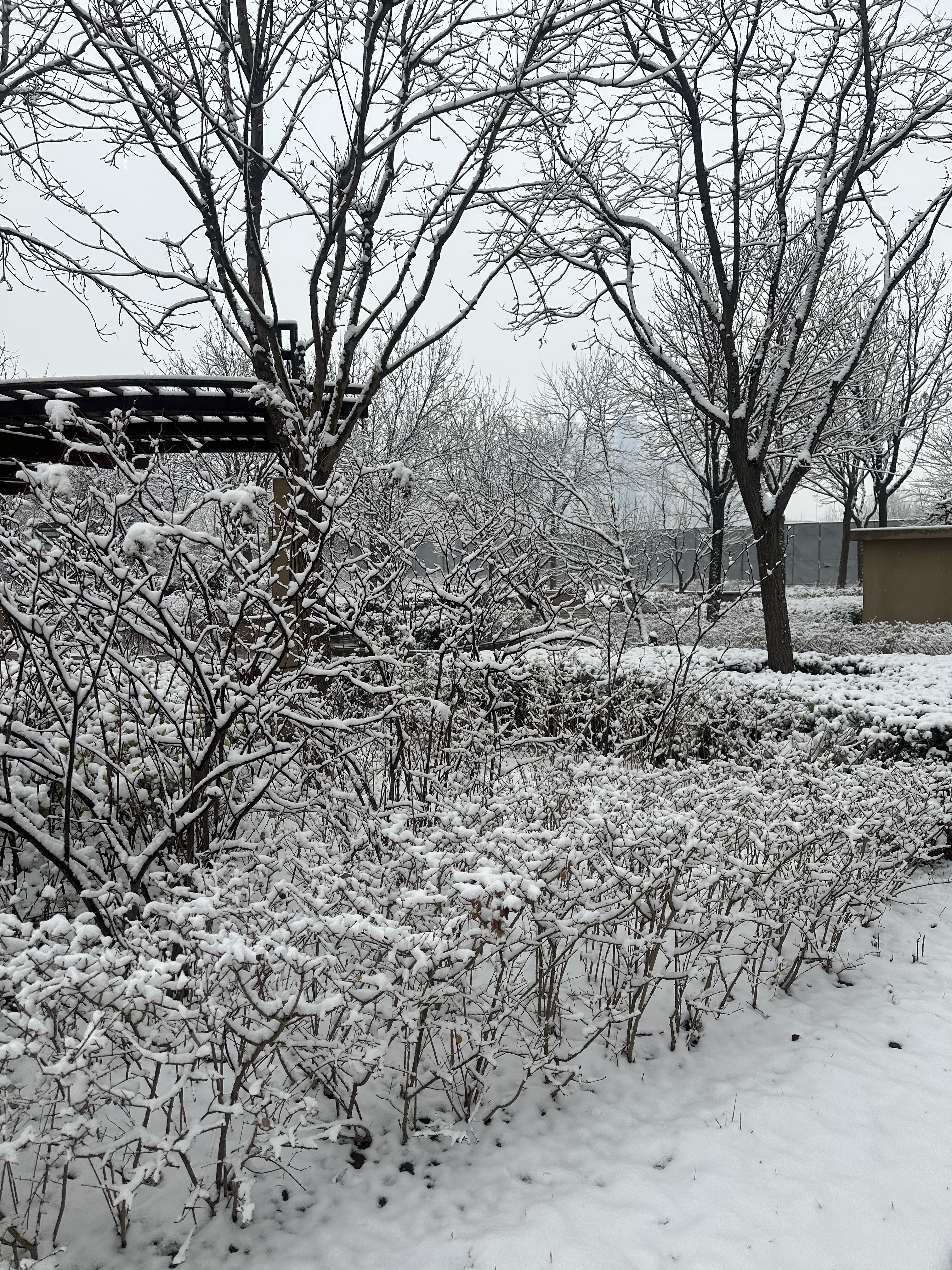 2026年3月2日，整月十四，雪